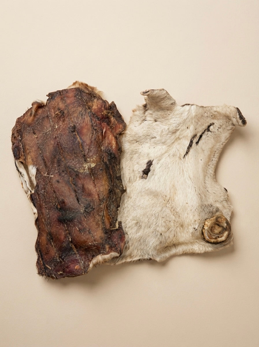 Plaque de peau de bœuf avec poils