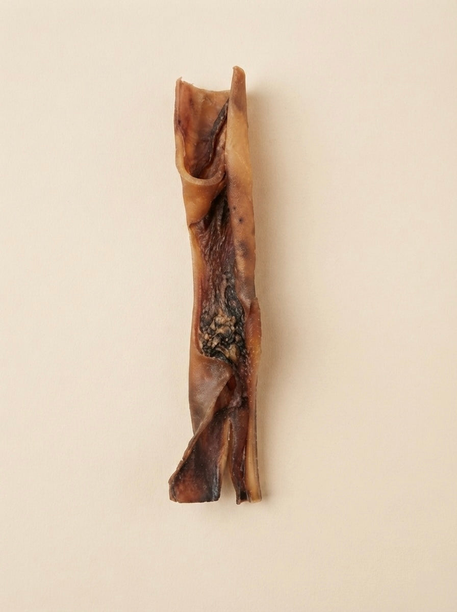 Peau de chameau