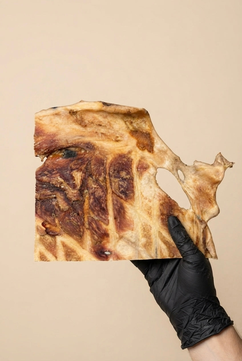 Peau de tête de bœuf