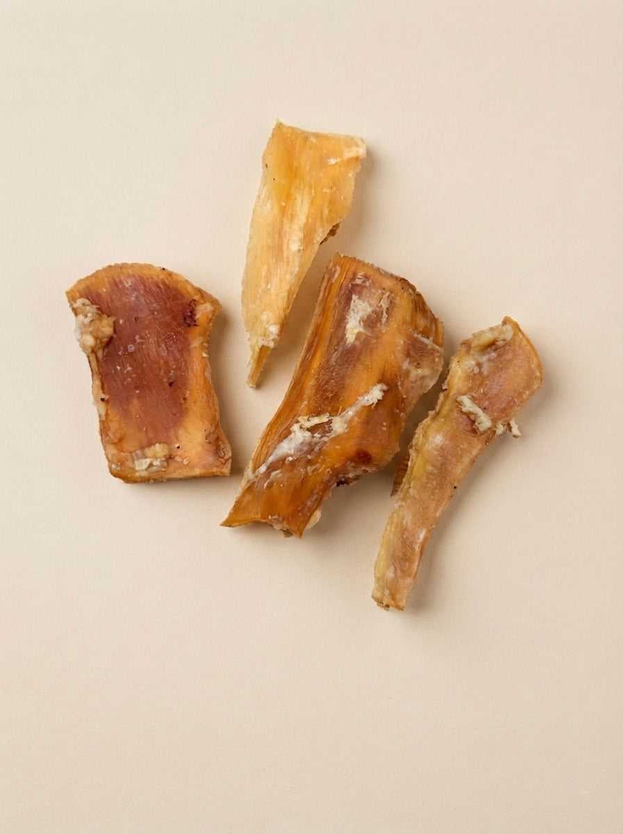 Tendon de bœuf