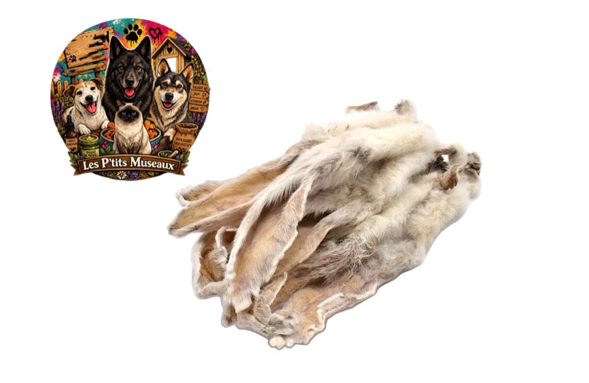Oreille de lapin